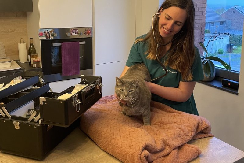 Domicile_1_appart-scaled2